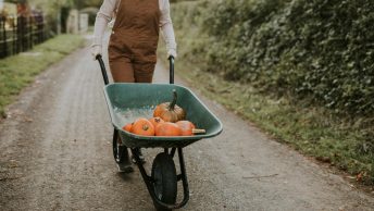 inklapbare bolderkar featured image